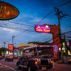 一龙五凤杨幂唐嫣双胞胎
