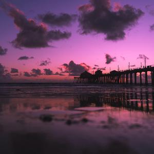 一龙五凤杨幂唐嫣双胞胎
