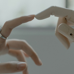 一龙五凤杨幂唐嫣双胞胎
