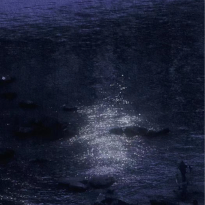 一龙五凤杨幂唐嫣双胞胎
