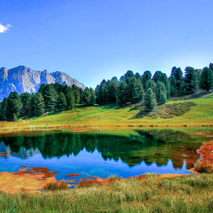 一龙五凤杨幂唐嫣双胞胎
